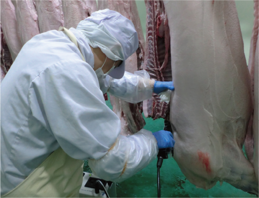 大分県農林水産研究指導センター