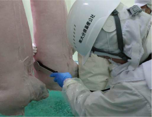 大分県農林水産研究指導センター