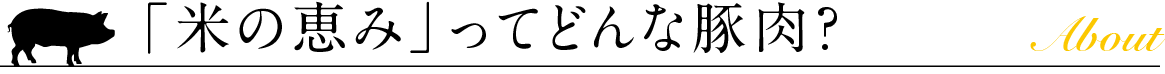 「米の恵み」ってどんな豚肉?